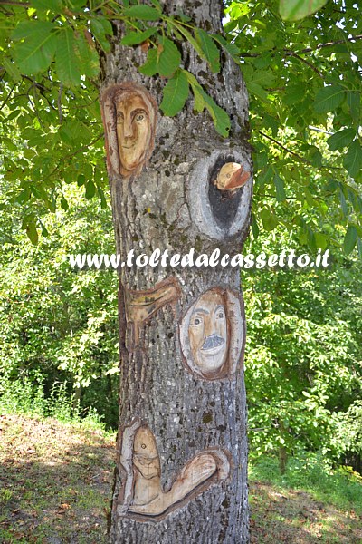 CROCETTA DI MULAZZO - Personaggi e animali di Gino Fogola intarsiati sul tronco di un albero lungo la strada che conduce a Montereggio