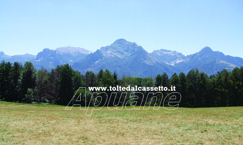 ALPI APUANE - Il crinale delle montagne visto da un pascolo della Garfagnana