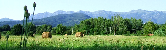 FILETTO -  Un pascolo e le montagne circostanti dell'Appennino Tosco-Emiliano