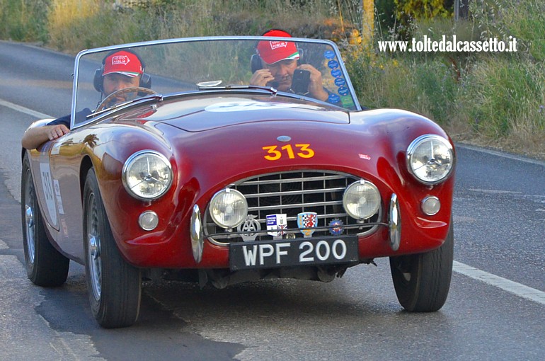 MILLE MIGLIA 2025 - AC Ace anno 1954 (Equipaggio: Guido Van Empel e Arie Mauritz  - Numero di gara: 313)