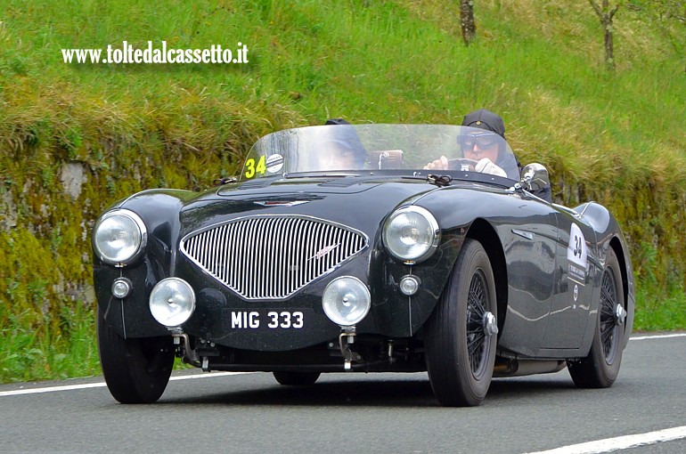 GRAN PREMIO TERRE DI CANOSSA 2019 (Fivizzano) - Austin Healey 100 Le Mans del 1955 (Equipaggio: Pinchbeck R. e Pinchbeck D. (UK) - Numero di gara: 34)