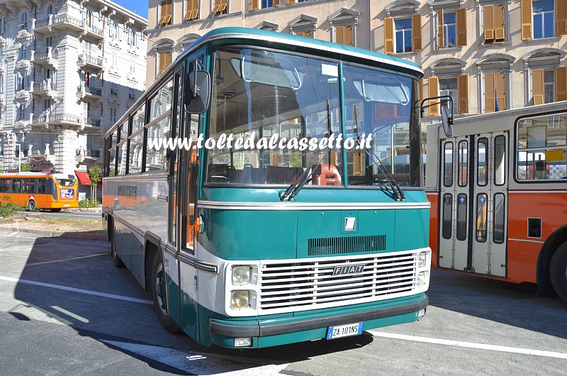 Autobus FIAT 308 Cameri del 1978 (Collezione StoricBus)