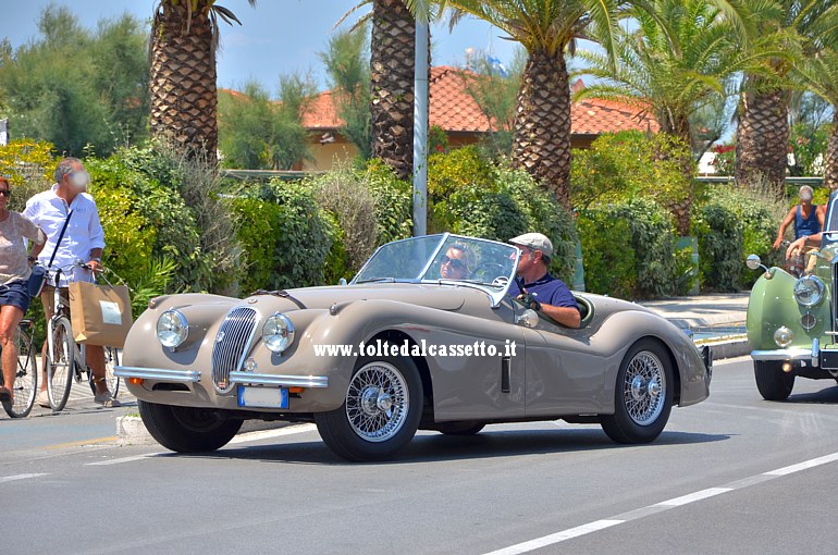 JAGUAR XK 120 OTS SE del 1952 al Trofeo Biondetti (Camaiore)