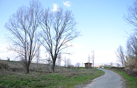 PARCO DEL MAGRA (Arcola) - Strada d'accesso all'Oasi Lipu ed al bosco alluvionale di San Genesio