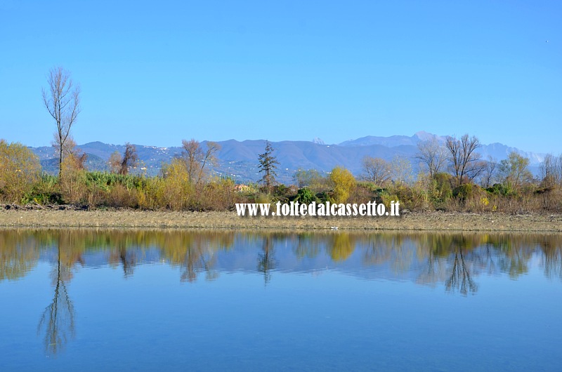 FIUME MAGRA - Paesaggio dall'Oasi Lipu di Arcola