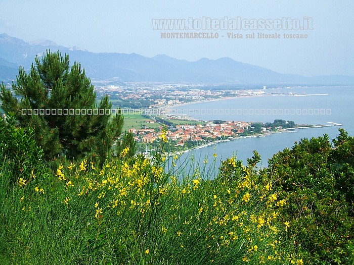 MONTEMARCELLO - Panorama con vista sul litorale toscano