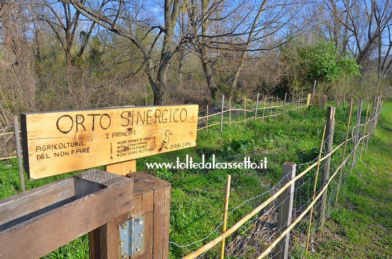 OASI LIPU DI ARCOLA - Scorcio sull'Orto Sinergico che rappresenta l'"Agricoltura del non fare", ovvero il terreno vegeta da solo senza alcun intervento umano