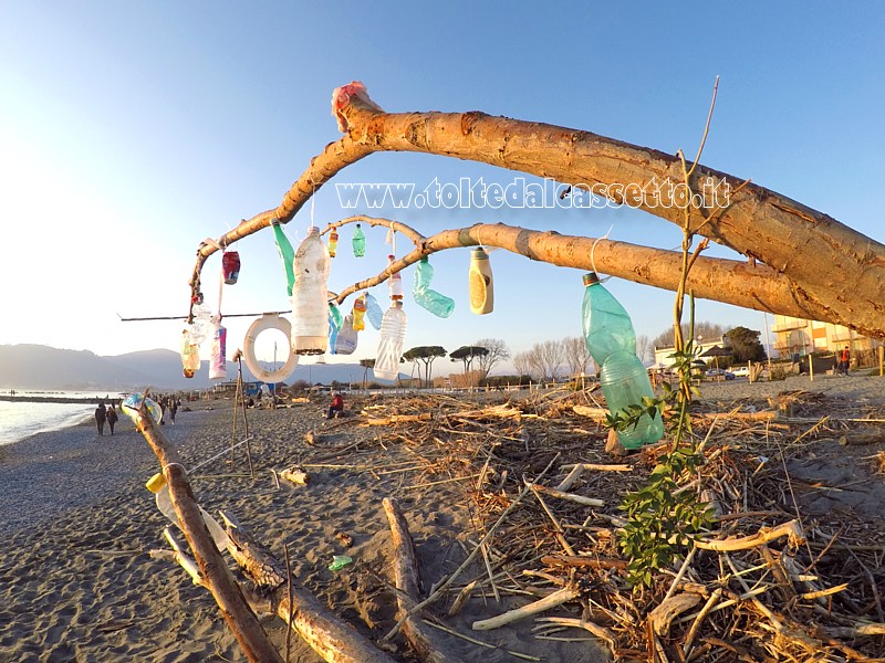 MARINELLA di SARZANA (Gennaio 2020) - Sulla spiaggia varie bottiglie di plastica, arrivate a terra con le mareggiate, penzolano dai rami di un albero. Un triste addobbo per le feste natalizie