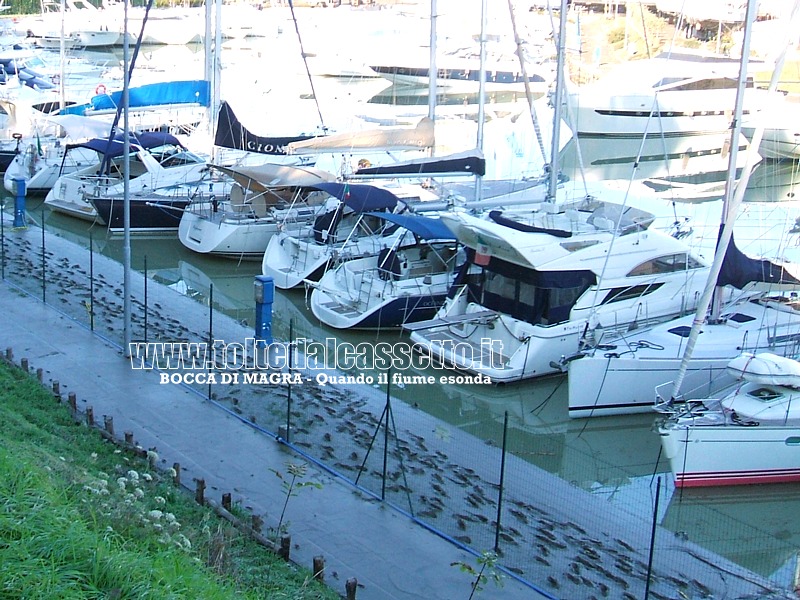 BOCCA DI MAGRA - Orme nel fango di una darsena fluviale raggiunta dall'esondazione