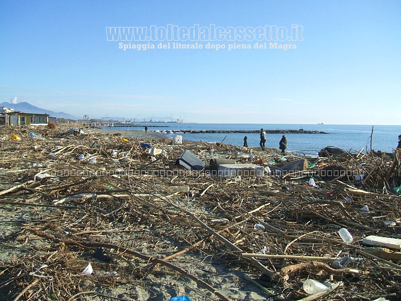 FIUMARETTA - Solitamente, dopo ogni piena del fiume Magra, detriti e legname ricoprono le spiagge del litorale