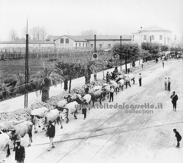 CARRARA (1929) - Un ragazzino osserva attento il passaggio dei buoi che trasportano il Monolite lungo le vie cittadine per farlo arrivare al porto