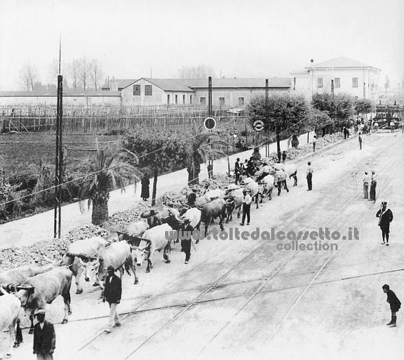 CARRARA (1929) - Un ragazzino osserva attento il passaggio dei buoi che trasportano il Monolite lungo le vie cittadine per farlo arrivare al porto