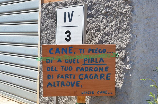 CARTELLI CURIOSI E DIVERTENTI - Appello ad un cane affinch� dica al suo padrone di portarlo a fare i bisogni altrove, con tanto di ringraziamenti anticipati (al cane ovviamente...)