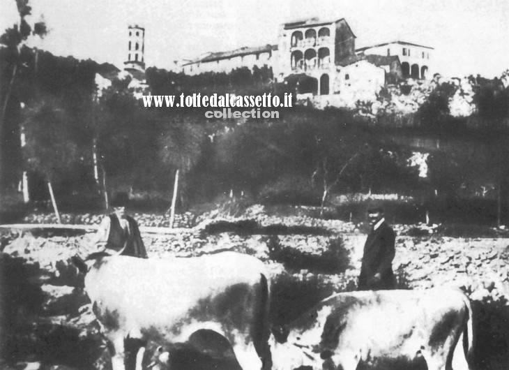 CASOLA IN LUNIGIANA - Foto di inizio Novecento in cui compare il Palazzo Belardinelli, poi distrutto dal disastroso terremoto del 1920. I due bovini in primo piano testimoniano la vocazione agricola del territorio