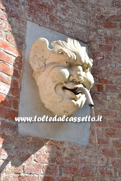 CARRARA - Una delle artistiche bocche fatte a maschera della fontana di Via del Plebiscito