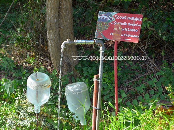 CARRODANO - La sorgente boschiva del Pontelargo