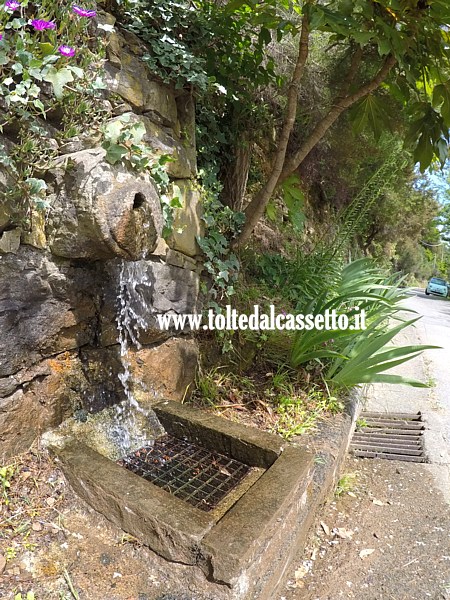 CERRETA DI CARRO - Sorgente naturale lungo la strada che porta a Castello