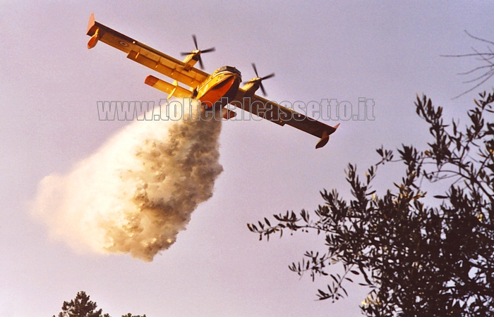 INCENDIO ALLA SPEZIA (16-07-2006) - Canadair lancia acqua sulle coltivazioni di vigneti e uliveti