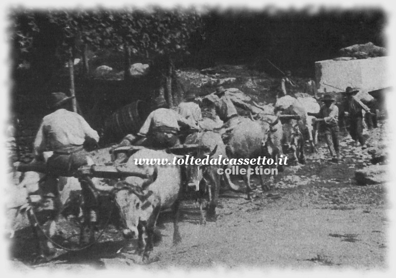 MONTIGNOSO - In una foto della prima met del Novecento un convoglio di buoi trasporta un blocco di marmo all'altezza del lavatoio di Piazza