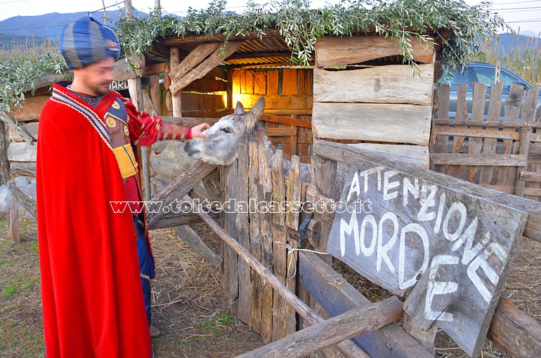 QUERCETA di SERAVEZZA (Presepe vivente) - L'asino birbantello