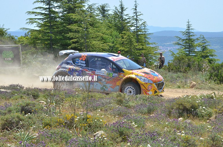 RALLY ITALIA SARDEGNA 2014 - Karl Kruuda (EST) e Martin Jarveoja (EST) su Peugeot 208 T16 R5 (n.36) attraversano un tratto ricco di fiori e vegetazione. I due hanno terminato la competizione al 14 posto della classifica generale