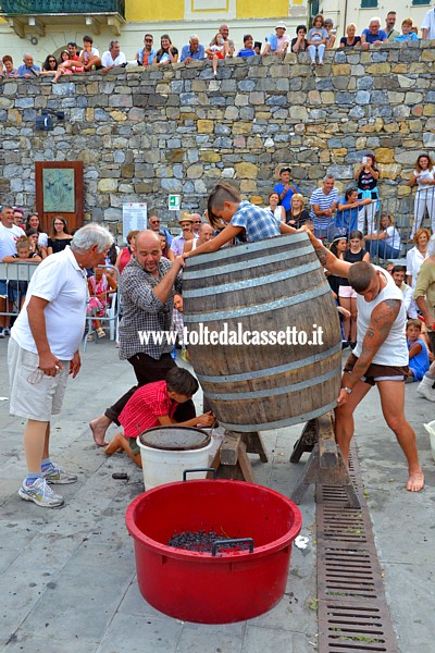 VEZZANO LIGURE (Sagra dell'Uva) - Gara dei vendemmiatori (step 5)