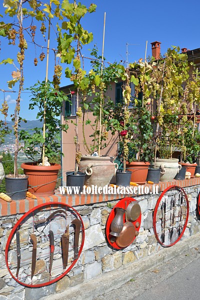 VEZZANO LIGURE (Sagra dell'Uva) - Il muro di cinta di un'abitazione artisticamente decorato con utensili agricoli e vasi con piante di vite