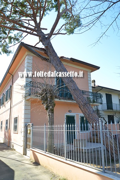 FORTE DEI MARMI - Caseggiato lesionato dalla caduta di un pino avvenuta per il forte vento