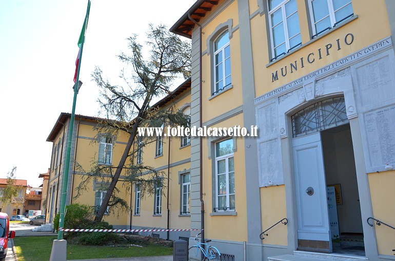 FORTE DEI MARMI - Una conifera sradicata dal vento finisce contro il palazzo comunale