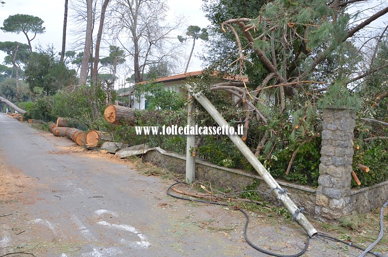 FORTE DEI MARMI - Palo di linea elettrica abbattuto in una via periferica