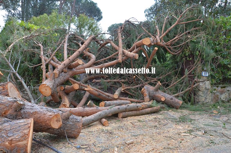 FORTE DEI MARMI - Quello che era il cancello d'entrata di un'abitazione