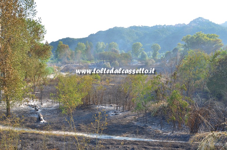 PARCO DEL MAGRA (Piano di Vezzano Ligure) - Nella zona iniziale dell'immenso rogo scoppiato il 7 agosto 2015 la vegetazione � tutta bruciata dalle fiamme