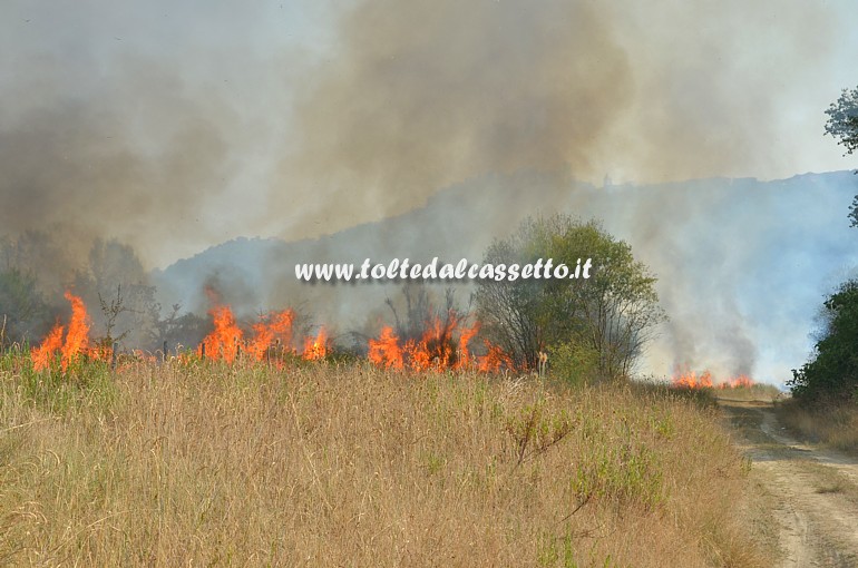 PARCO DEL MAGRA (Piano di Vezzano Ligure) - Le fiamme raggiungono la vegetazione vicino al fiume e trovano facile alimento nell'erba alta e secca a causa della perdurante siccit�