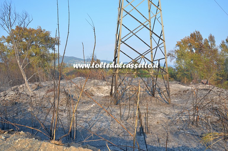 PARCO DEL MAGRA (Piano di Vezzano Ligure) - Uno dei tralicci di elettrodotto con alta tensione sotto i quali  arrivato il fuoco dell'incendio scoppiato il 7 agosto 2015