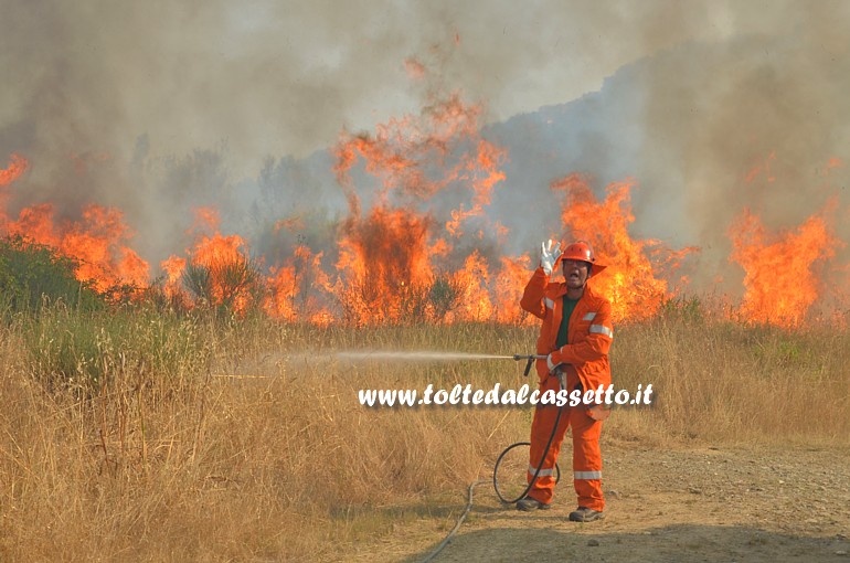 PARCO DEL MAGRA (Piano di Vezzano Ligure) - Un volontario della Squadra Antincendio di Sarzana affronta le fiamme del rogo scoppiato il 7 agosto 2015