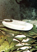 Testi di terracotta impilati per la cottura dei panigacci, con frapposizione di foglie di castagno