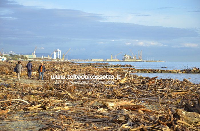 MARINELLA DI SARZANA - Legname sulla spiaggia dopo una mareggiata