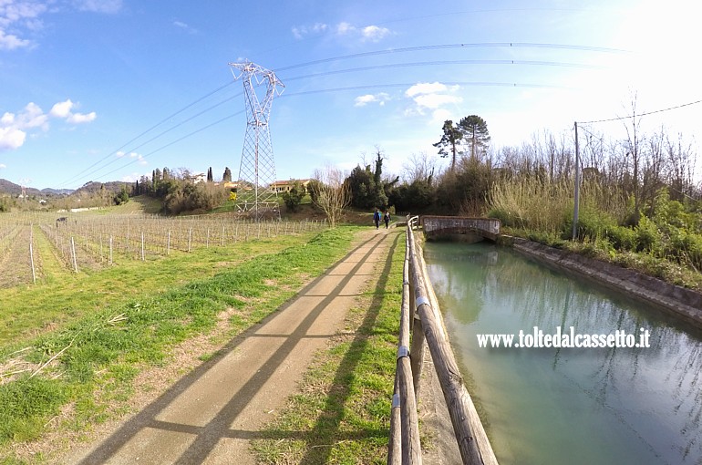 CANALE LUNENSE (Pista Ciclabile) - Il tracciato sfila lungo un vigneto a Sarzana