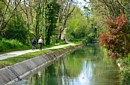 CANALE LUNENSE (Pista Ciclabile) - Bosco tra Sarzana e S.Stefano di Magra