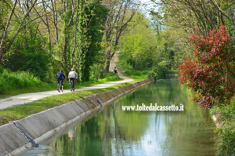CANALE LUNENSE (Pista Ciclabile) - Bosco tra Sarzana e Santo Stefano di Magra