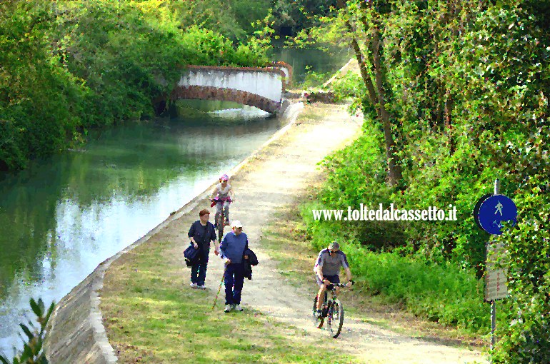 CANALE LUNENSE (Pista Ciclabile) - Scorcio del bosco attraversato tra Sarzana e Santo Stefano di Magra (immagine con effetto quadro a olio)