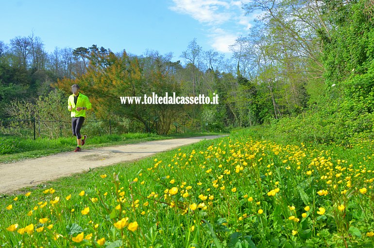 CANALE LUNENSE (Pista Ciclabile) - Il colore giallo domina il tratto collinare a Ponzano Magra dove il percorso si stacca momentaneamente dalla via d'acqua che scorre dentro un sifone