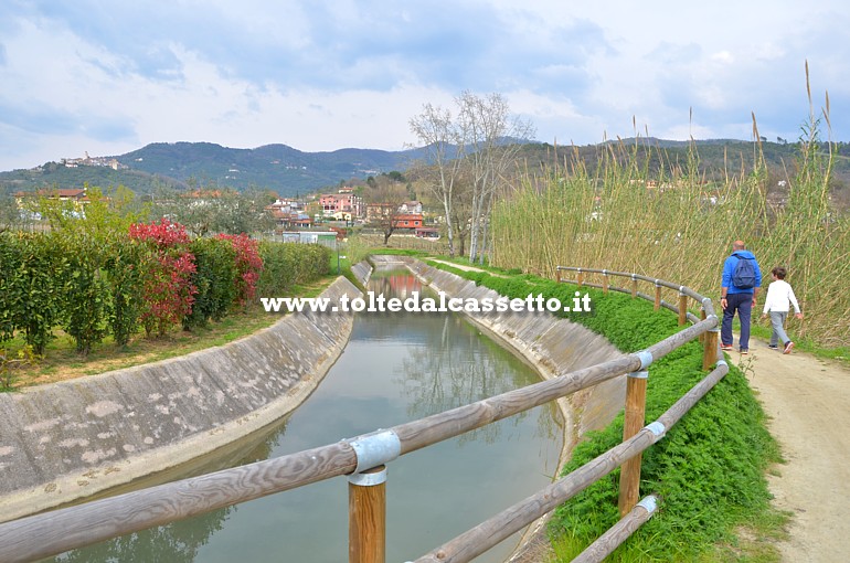 CANALE LUNENSE (Pista Ciclabile) - La campagna in localit Palvotrisia di Castelnuovo Magra