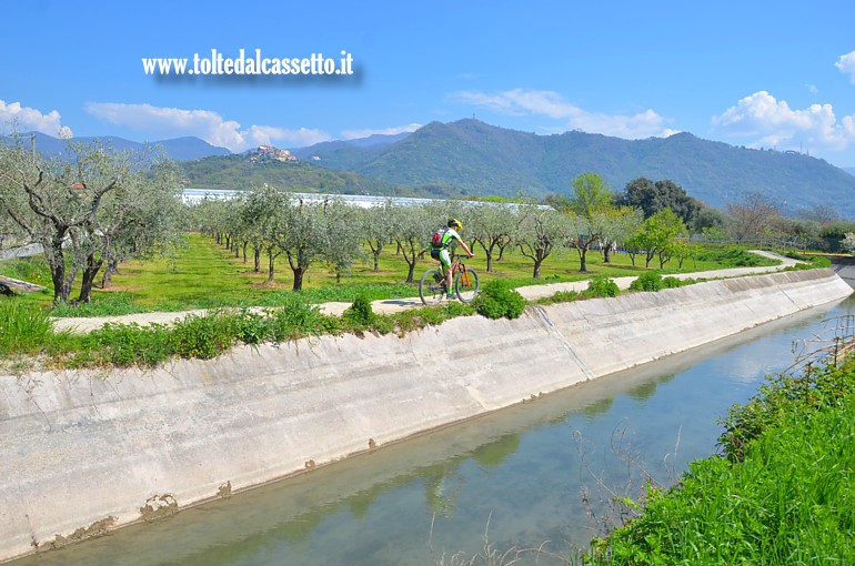 CANALE LUNENSE (Pista Ciclabile) - Un biker taglia il paesaggio che ha come sfondo il colle di Nicola di Luni