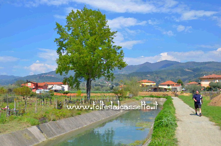 CANALE LUNENSE (Pista Ciclabile) - Paesaggio tra Luni e Castelnuovo Magra (immagine con effetto quadro a olio)