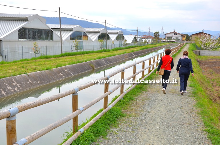 CANALE LUNENSE (Pista Ciclabile) - Serre nel tratto tra Luni e Castelnuovo Magra