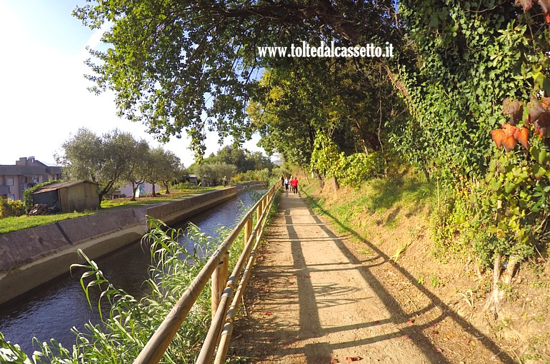 CANALE LUNENSE (Pista Ciclabile) - Tratto alberato a Ponzano Magra