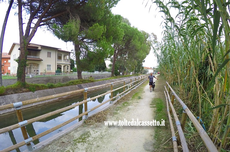 CANALE LUNENSE (Pista Ciclabile) - A Castelnuovo Magra l'impianto scorre in un tratto rettilineo costeggiato da un filare di pini marittimi