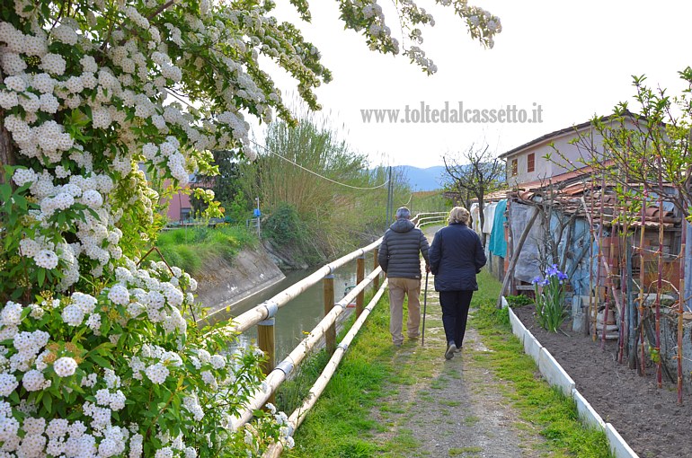 CANALE LUNENSE (Pista Ciclabile) - Tratto fiorito nel piano di Castelnuovo Magra