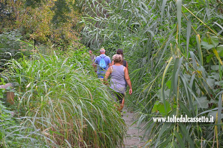 CANALE LUNENSE (Pista ciclabile) - Camminatori attraversano un ambiente simile a quello di una foresta